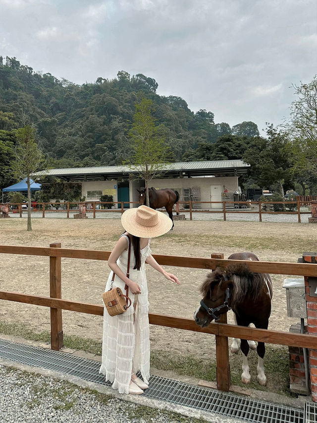 台南｜露營風咖啡廳 山裏🏕️