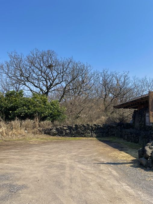 제주 한옥카페 후기 🌿🏡