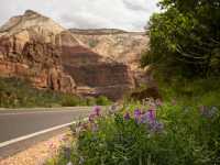 Edge of Adventure: Hiking Angels Landing in Zion