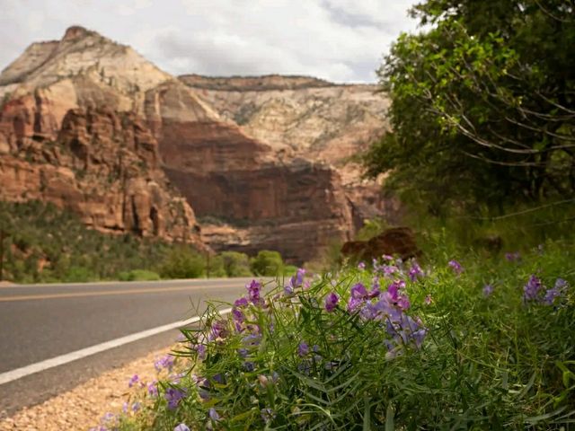 Edge of Adventure: Hiking Angels Landing in Zion