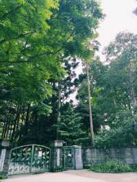 端午節好去處｜台北市立植物園的節日體驗
