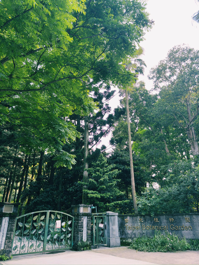 端午節好去處｜台北市立植物園的節日體驗