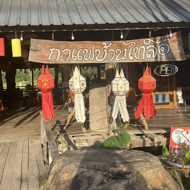 🌿 กาแฟบ้านไทลื้อ จังหวัดน่าน 🌿
