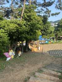 🌳 통영생태숲에서 자연과 한몸이 된 하루! 🍃