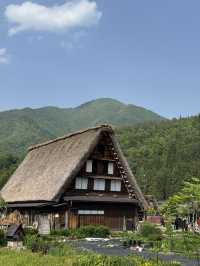 8日7夜 名古屋 立山黑部 飛驒之旅