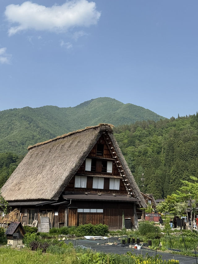 8日7夜 名古屋 立山黑部 飛驒之旅