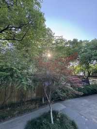 Discover Hangzhou’s Hidden Calm: Peaceful Escapes