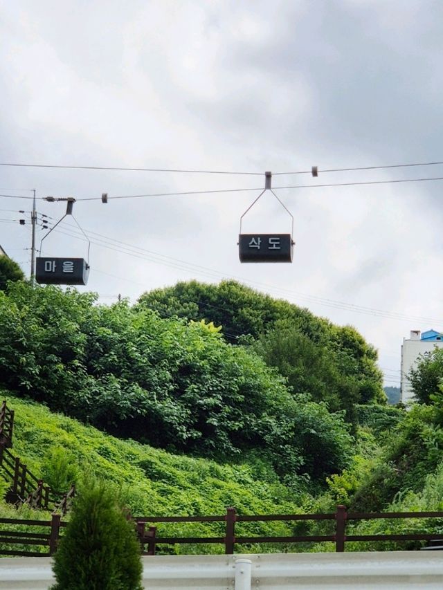 빛나는 도계여름여행 [흥전삭도마을]