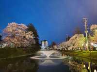 The story behind the Shinjō Castle Ruins