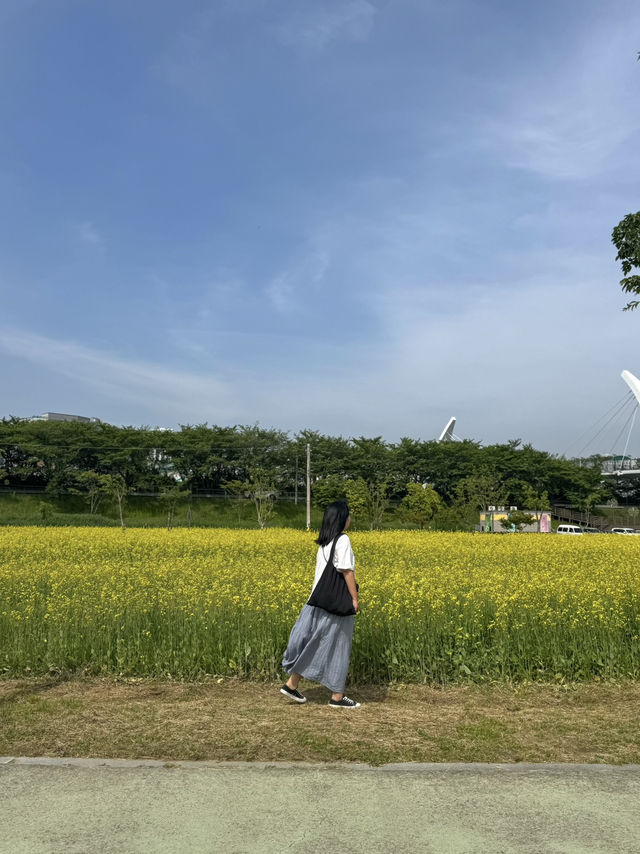 꽃보며 산책하기 좋은 ‘황산공원’