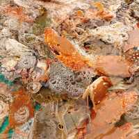 高質任撈任食新鮮海鮮自助火鍋放題🦐🦪