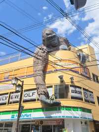 🇯🇵探秘東京隱藏寶地🦧三軒茶屋必逛指南，打卡猩猩樓🦍