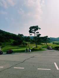 이맛에 가는 골프