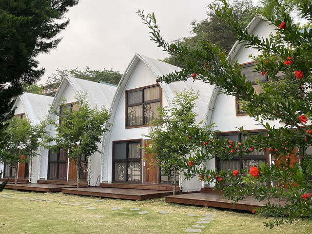 見晴花園渡假山莊_清境多元住宿選擇