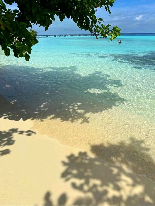Discover Semporna: Borneo's Ultimate Island Paradise