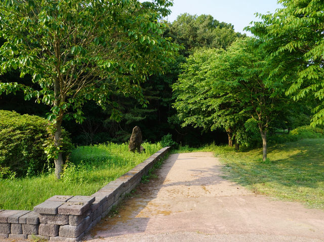 무령왕릉 옆 숨은 산책 명소, 코스모스 가득한 힐링 길🌼