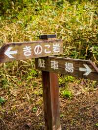  自然が作り出した奇跡！福島の「キノコ岩」へ行こう！ 