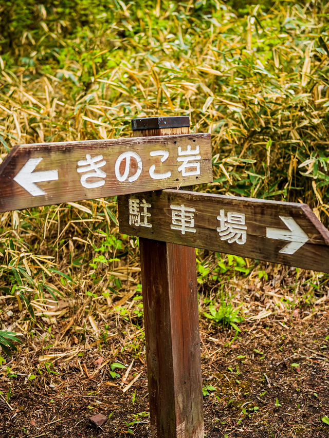  自然が作り出した奇跡！福島の「キノコ岩」へ行こう！ 