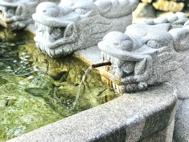 경주 감성 당일치기✨ 감포항부터 안압지 야경까지 알찬 코스