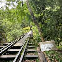 🚶‍♂️阿里山眠月線健行｜沼平車站 ⇄ 石猴車站
