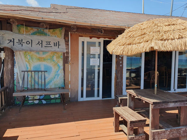 💘양양 남애항 맛집 야외카페 거북이서프바