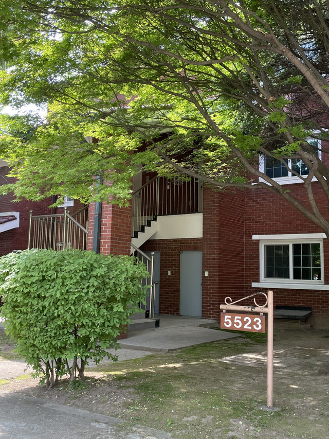 🎄 서울 속 작은 외국, 용산 장교숙소5단지 