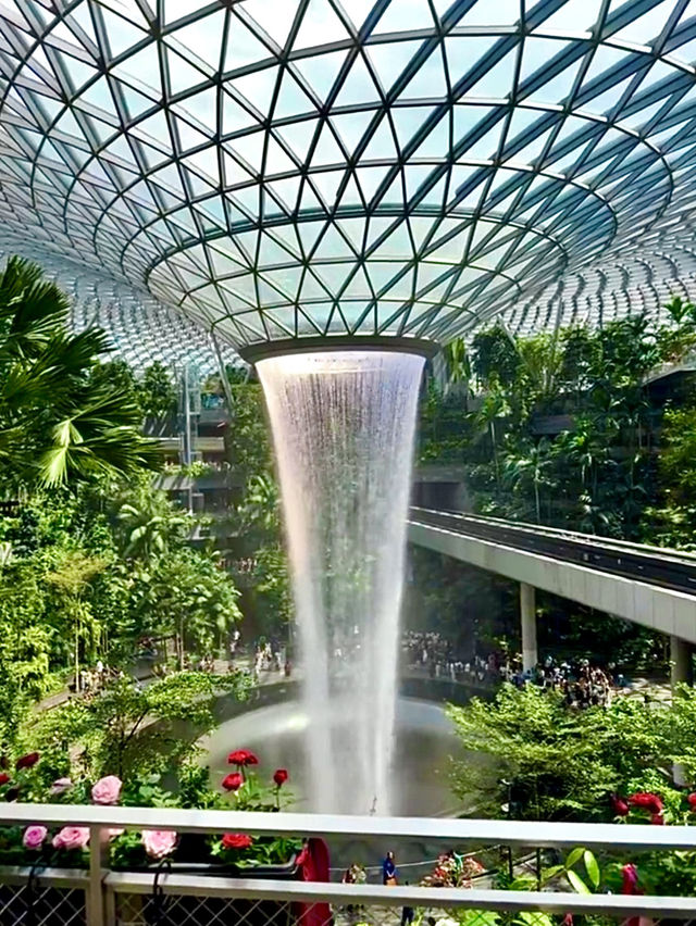 สิงคโปร์🇸🇬