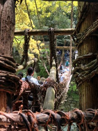 Tokushima | A Bridge That Makes Your Heart Race and Creates the Illusion of Love?