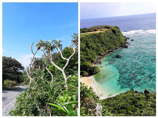 やんばる（北部）で冬の沖縄を楽しもう