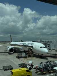 【シンガポール🇸🇬】世界一美しい！？チャンギ空港✈️