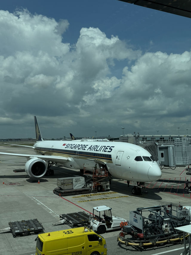【シンガポール🇸🇬】世界一美しい！？チャンギ空港✈️