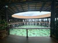 Pearl Island Resort – A Hidden Gem in Semporna’s Blue Paradise