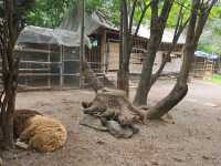 ตามธรรมชาติ Cafe' and Farm