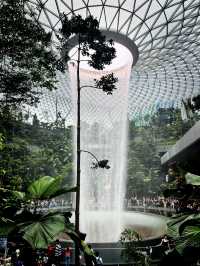 A Mesmerizing Oasis – Jewel Changi’s Rain Vortex