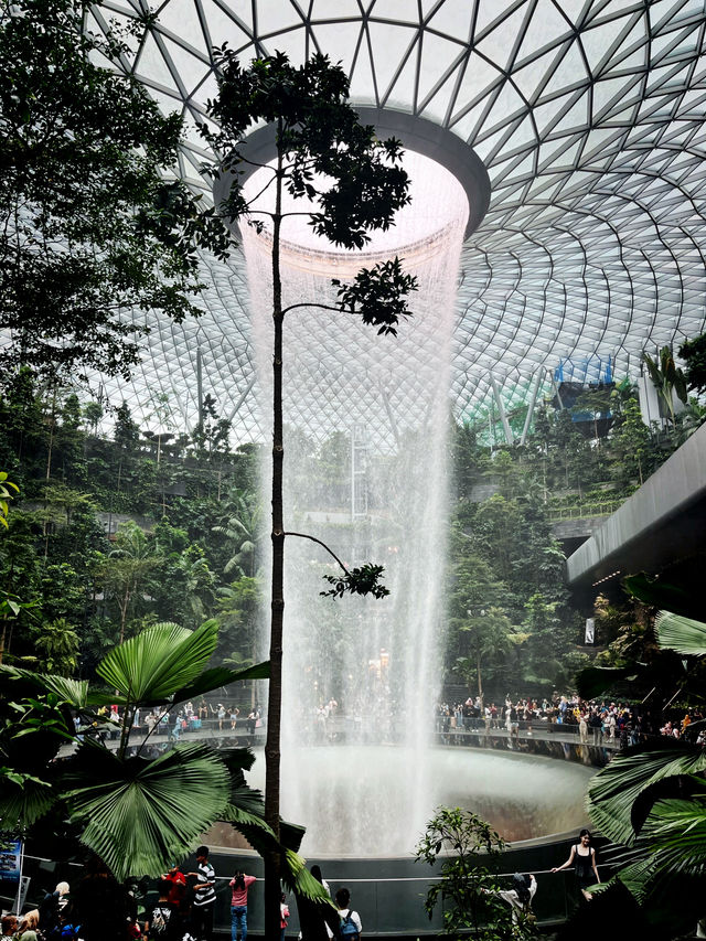 A Mesmerizing Oasis – Jewel Changi’s Rain Vortex