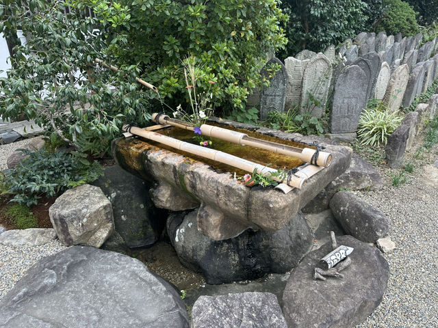 元興寺：在奈良的歷史長河中探索千年古寺的靜謐之美！