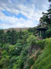 Tbilisi Botanical Garden – Nature’s Secret in the Heart of the City