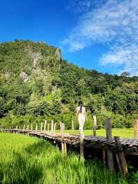สัมผัสธรรมชาติและศรัทธากลางทุ่งนาวัดนาคูหา