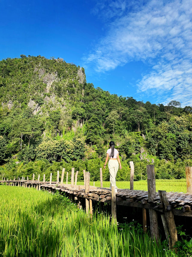 สัมผัสธรรมชาติและศรัทธากลางทุ่งนาวัดนาคูหา