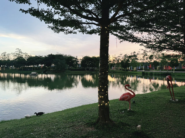 Flamingos at Quayside - KL  