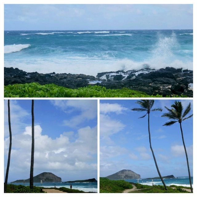 ハワイオアフ島のビーチはどこが一番？