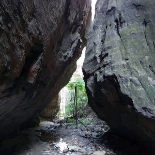 Carnarvon Gorge – QLD