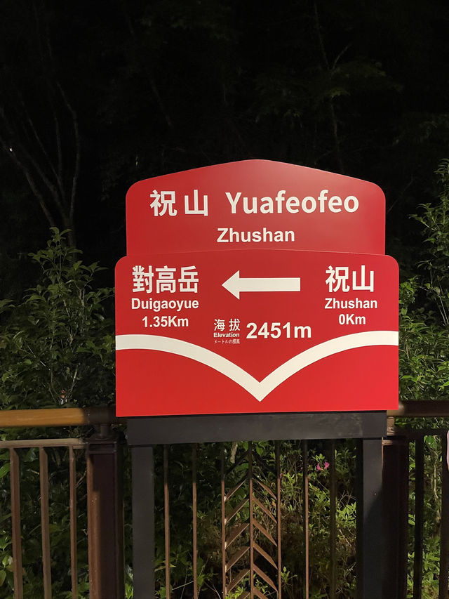懷念的阿里山森林小火車