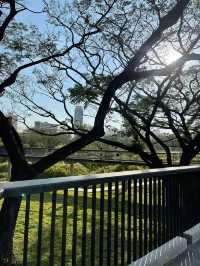 รีวิว สวนเบญจกิติ สถานที่ผ่อนคลายกลางเมือง