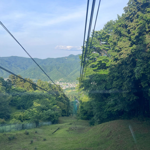 In Saitama!! A Super Chill Day Trip to Tokyo's Hidden Oxygen Bar! 🍃✨