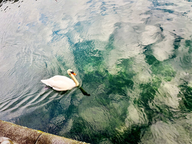 Starbucks Lucerne – Scenic Coffee Spot by the Chapel Bridge