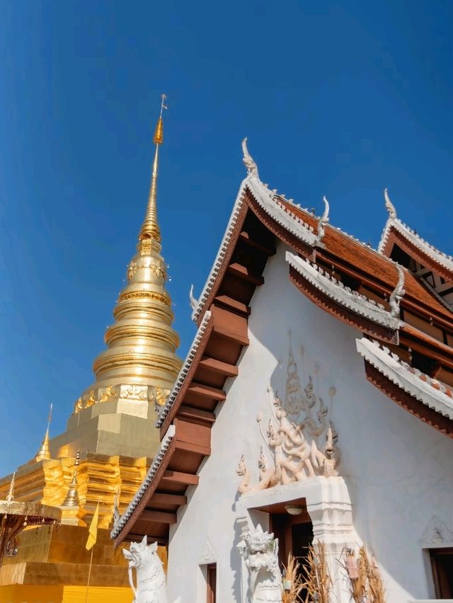 น่านน่าเที่ยว พระธาตุแช่แห้ง 