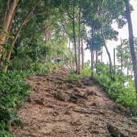Tanjung Tuan Forest Reserve