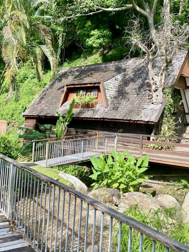 숲 속의 별장 분위기와 🏞️야외 수영장이 있는 머무르기 좋은 치앙마이 여행지💚