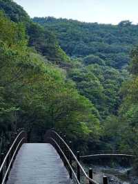 Quiet Trails & Cloud-Hugging Views at Mujangbong